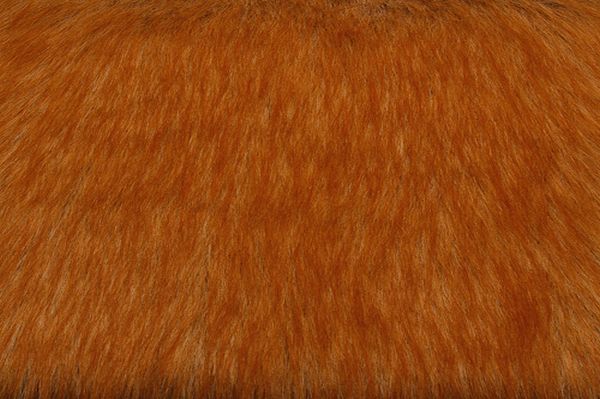 Red Fox Fur